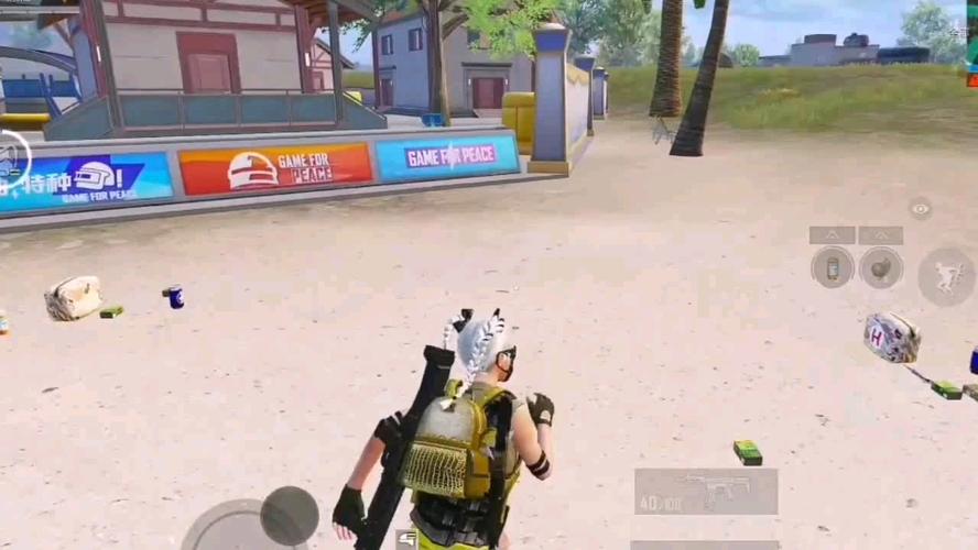 揭秘和平精英辅助工具的真相：你真的需要它吗